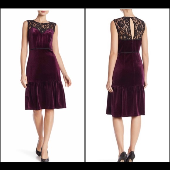 NANETTE nanette lepore Lace Yoke Velour Dress - Picture 2 of 6